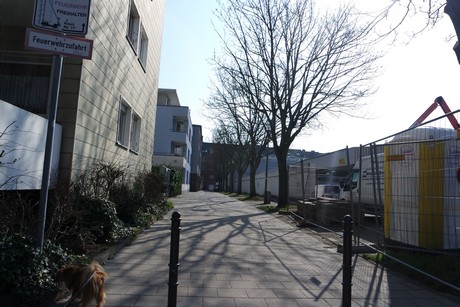 ehrenfeld