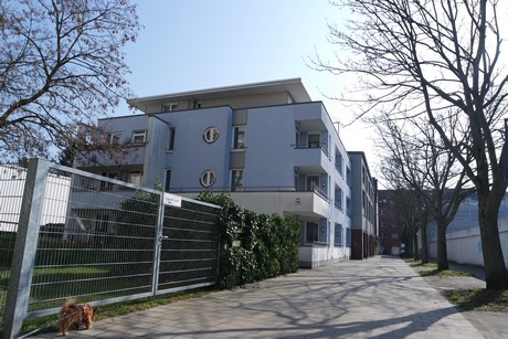 ehrenfeld