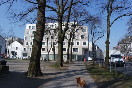 ehrenfeld