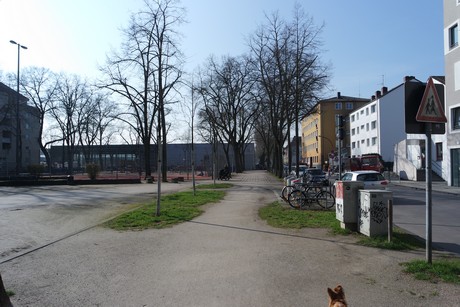 ehrenfeld