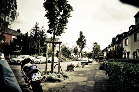 ehrenfeld