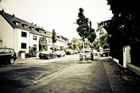 ehrenfeld