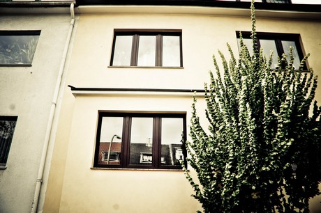 ehrenfeld