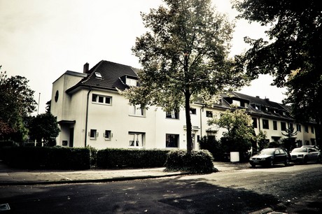 ehrenfeld