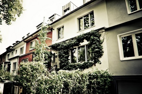 ehrenfeld
