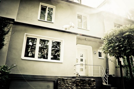 ehrenfeld