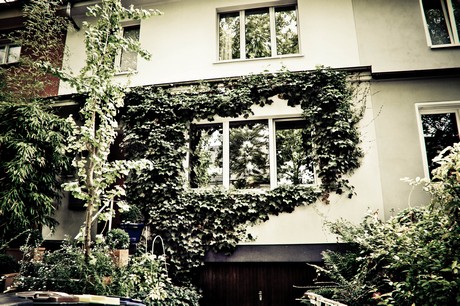 ehrenfeld