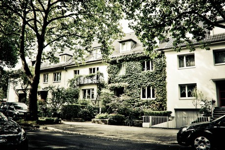 ehrenfeld