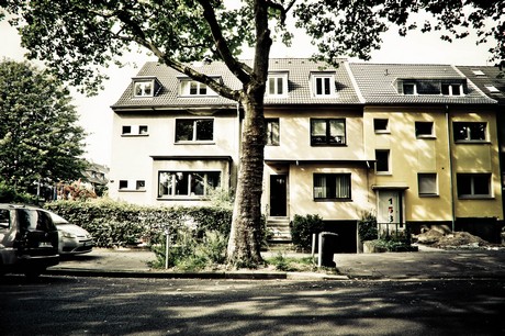 ehrenfeld