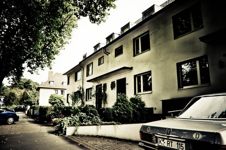 ehrenfeld