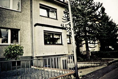 ehrenfeld