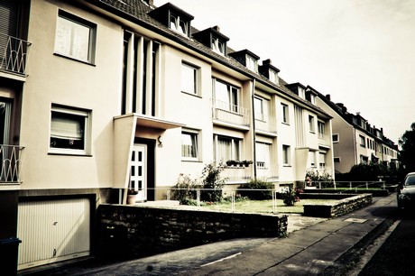 ehrenfeld