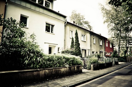ehrenfeld
