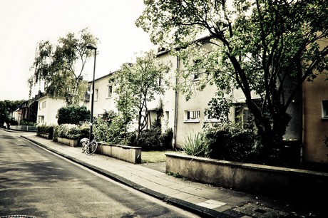 ehrenfeld