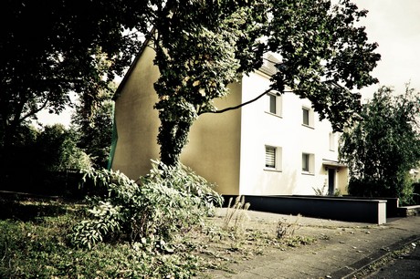 ehrenfeld
