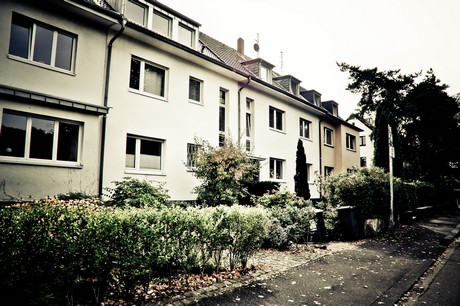 ehrenfeld
