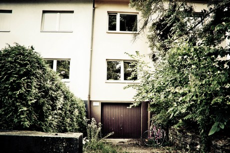 ehrenfeld