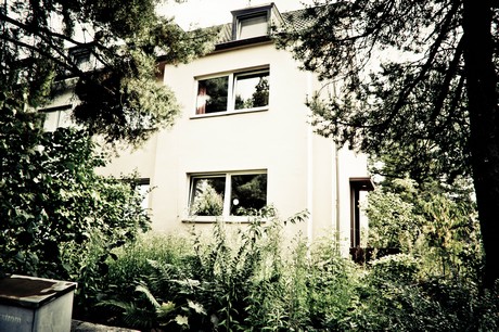 ehrenfeld