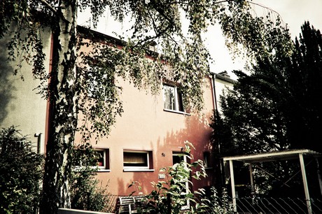 ehrenfeld