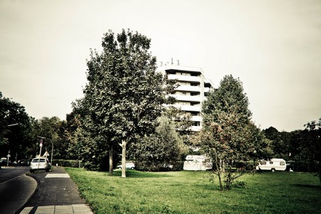 ehrenfeld
