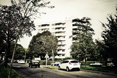 ehrenfeld
