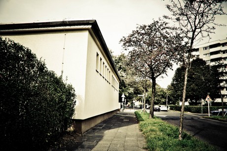 ehrenfeld