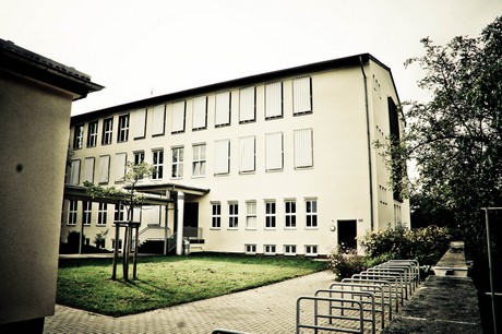 ehrenfeld