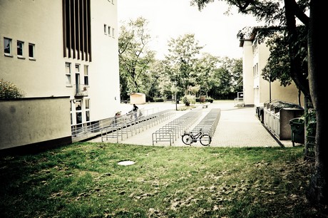 ehrenfeld