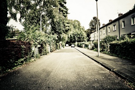 ehrenfeld
