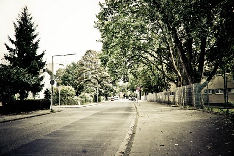 ehrenfeld