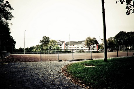 ehrenfeld