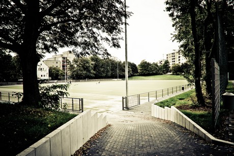 ehrenfeld