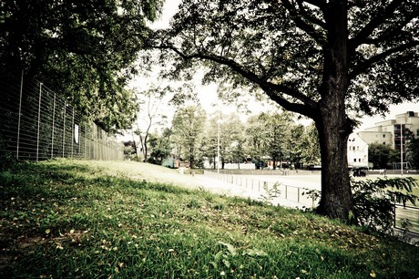 ehrenfeld
