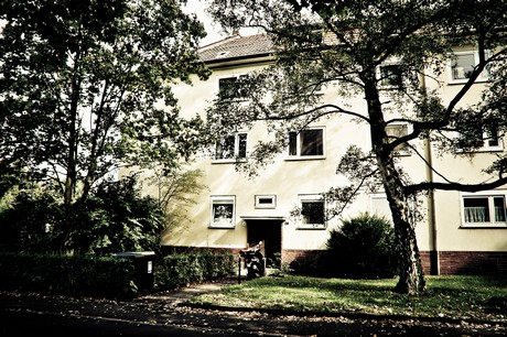 ehrenfeld