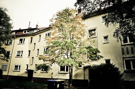 ehrenfeld