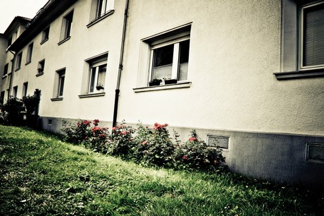ehrenfeld