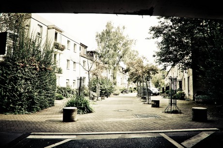 ehrenfeld