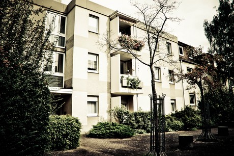 ehrenfeld