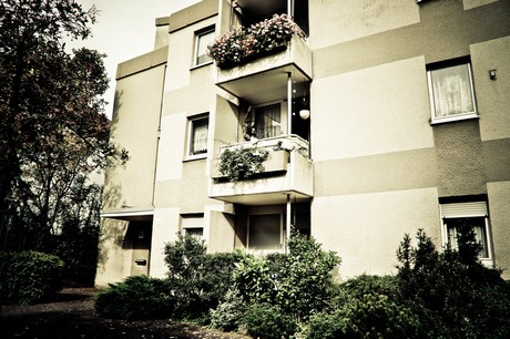 ehrenfeld