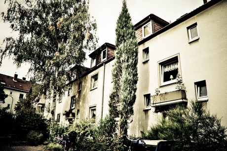 ehrenfeld