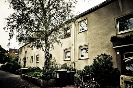 ehrenfeld