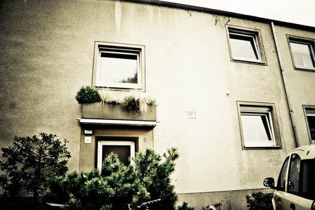ehrenfeld