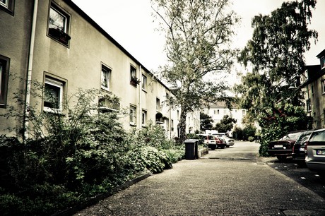 ehrenfeld