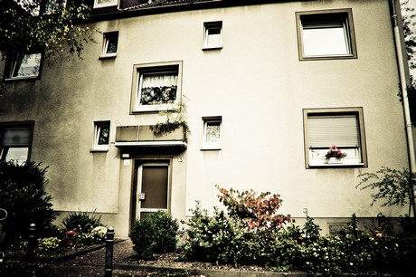 ehrenfeld