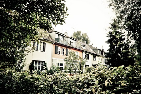ehrenfeld