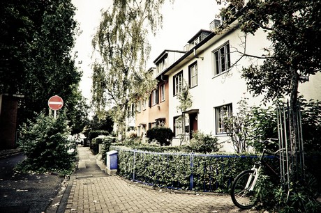 ehrenfeld