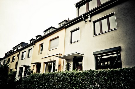ehrenfeld