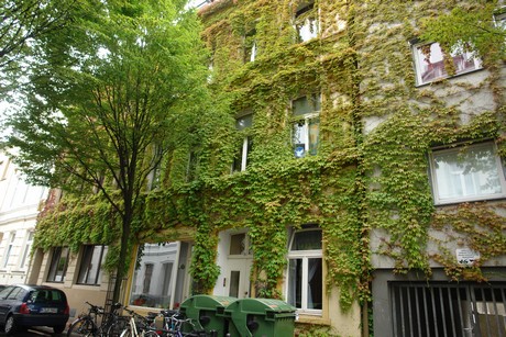 rothehausstrasse