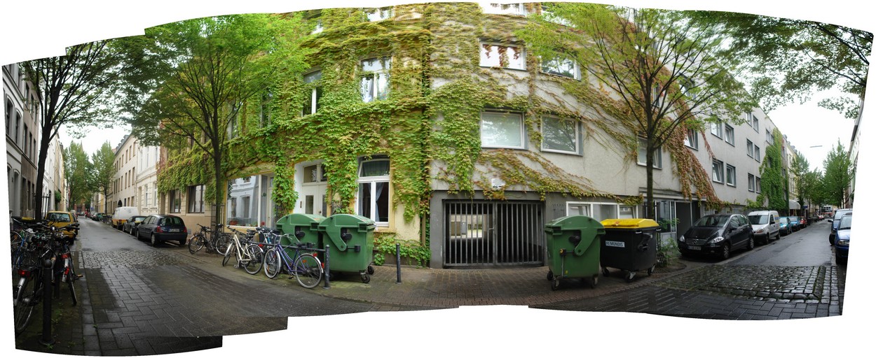 Rothehausstrasse
