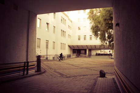 ehrenfeld